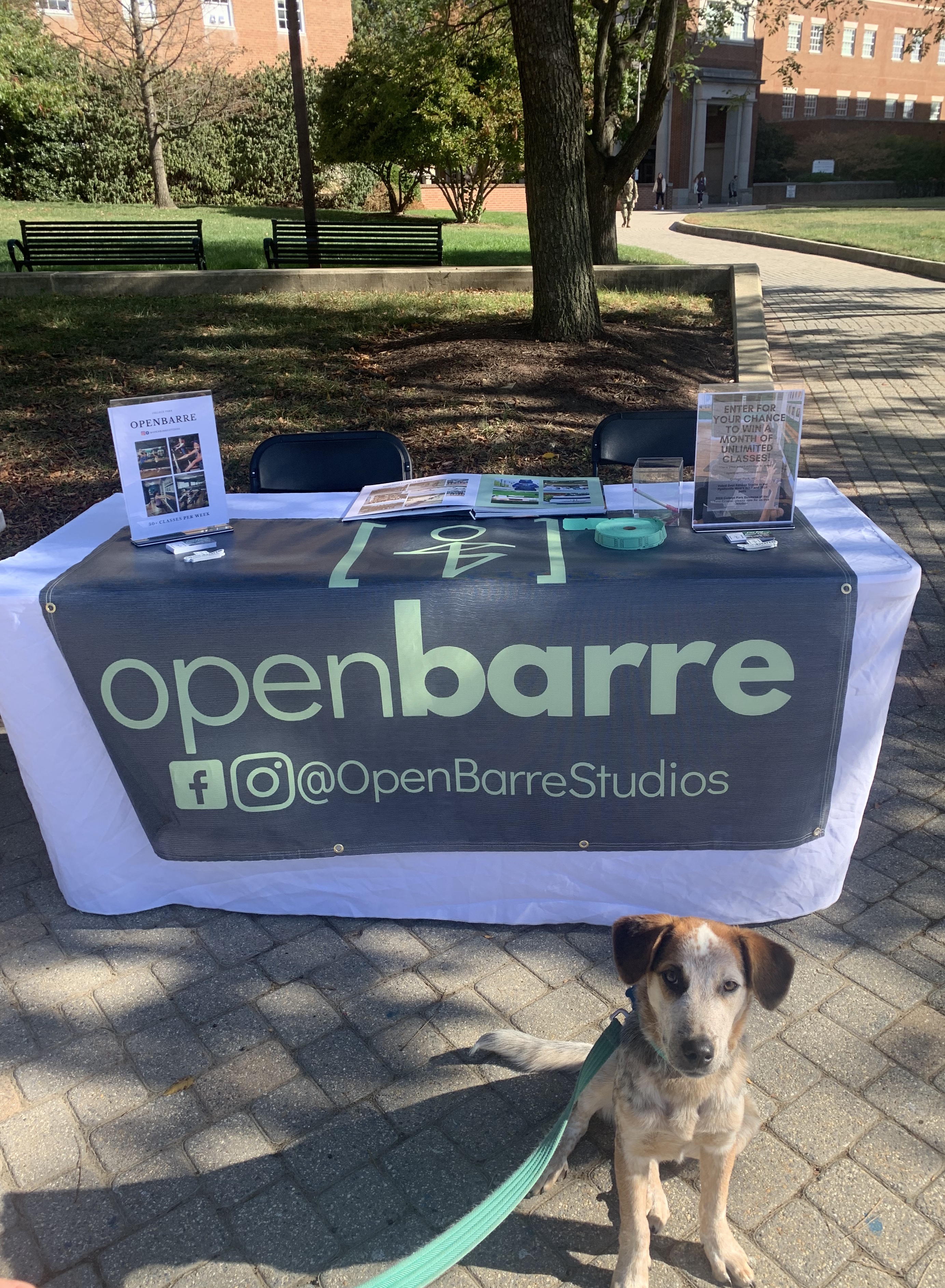 3.12.2022 Livestream Glutes and Thighs with Danielle