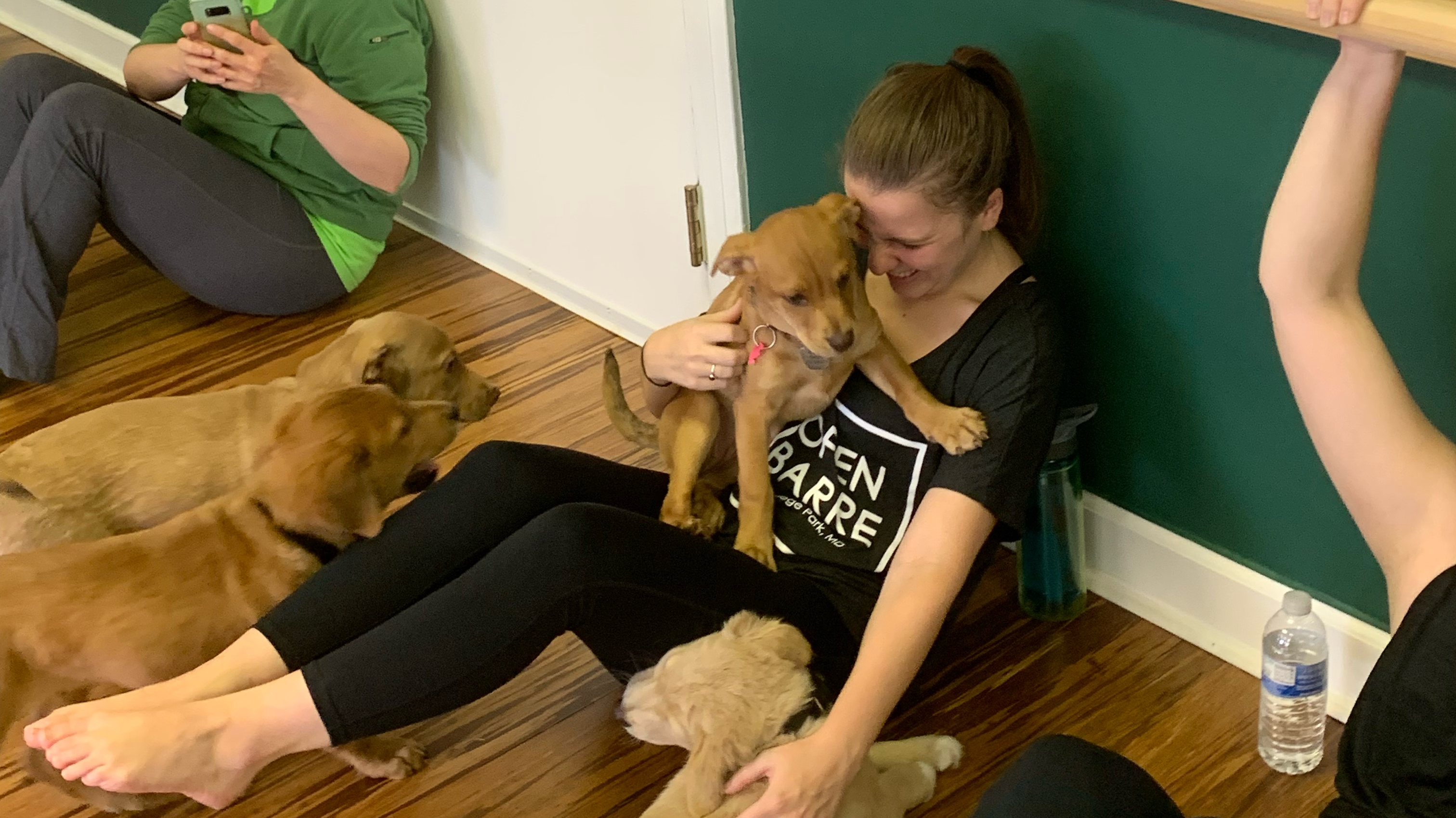 Animals with Lauren Arms & Abs