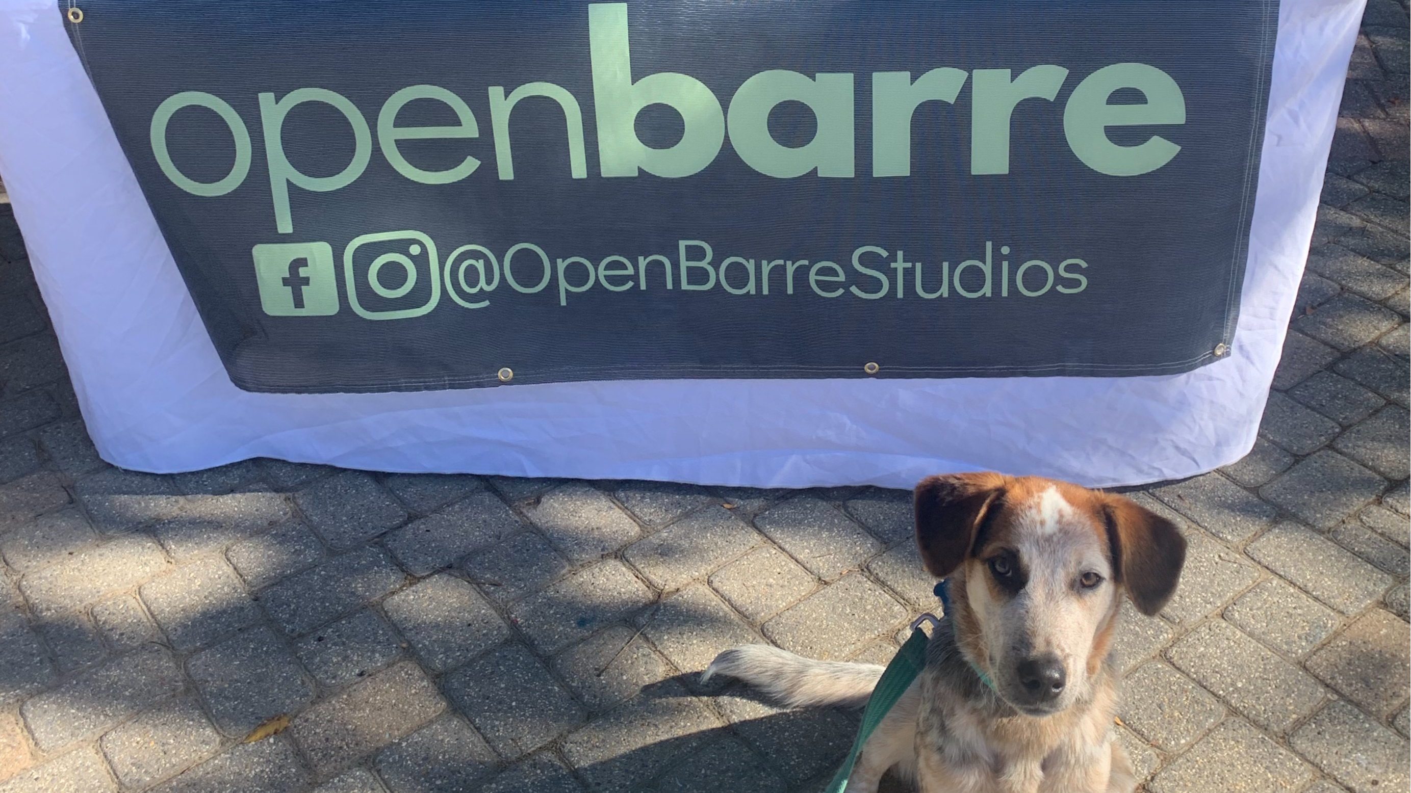 11.6.2020 Livestream Mat Barre Express with Lauren