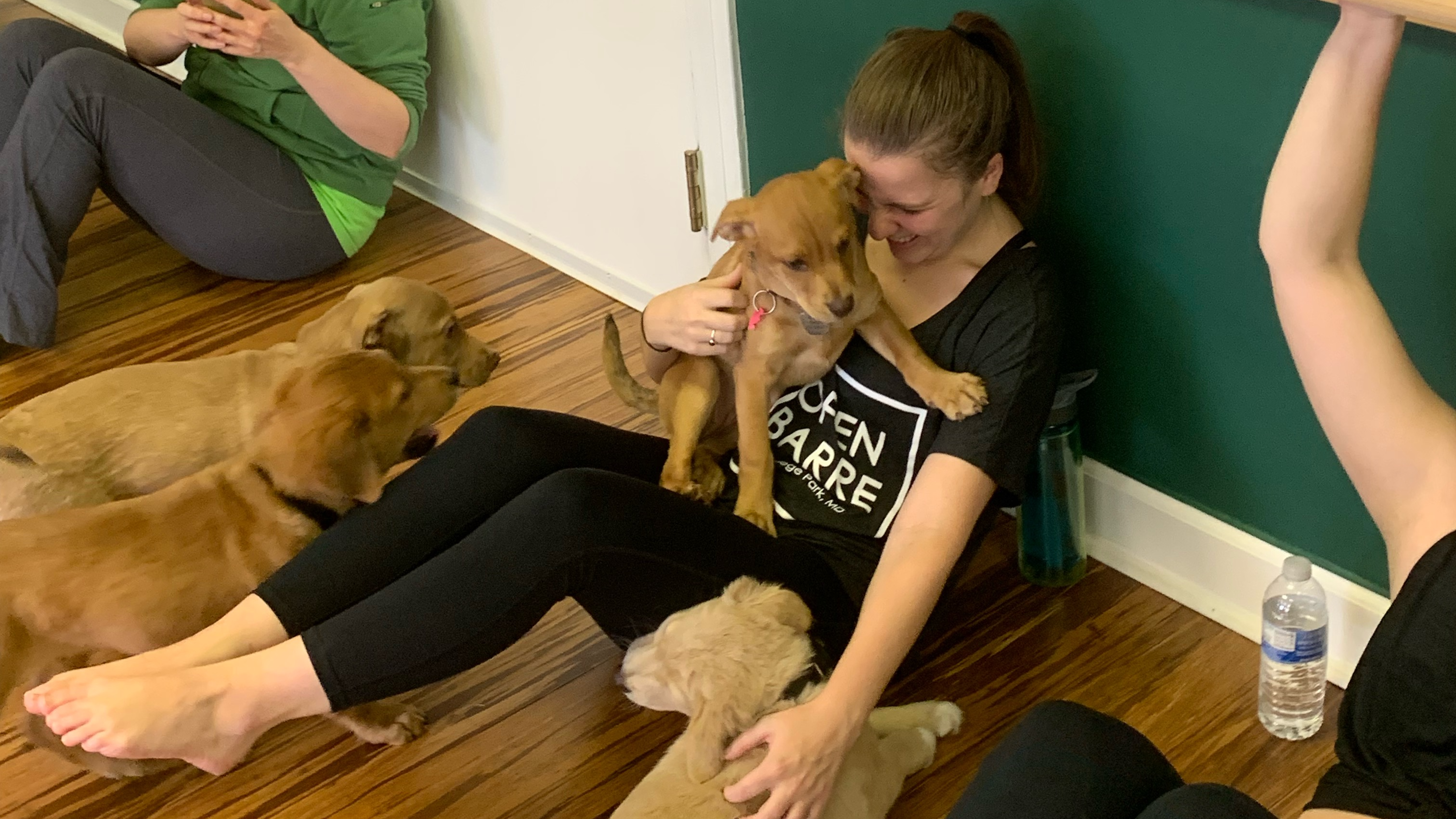 Core with Lauren Arms & Abs January