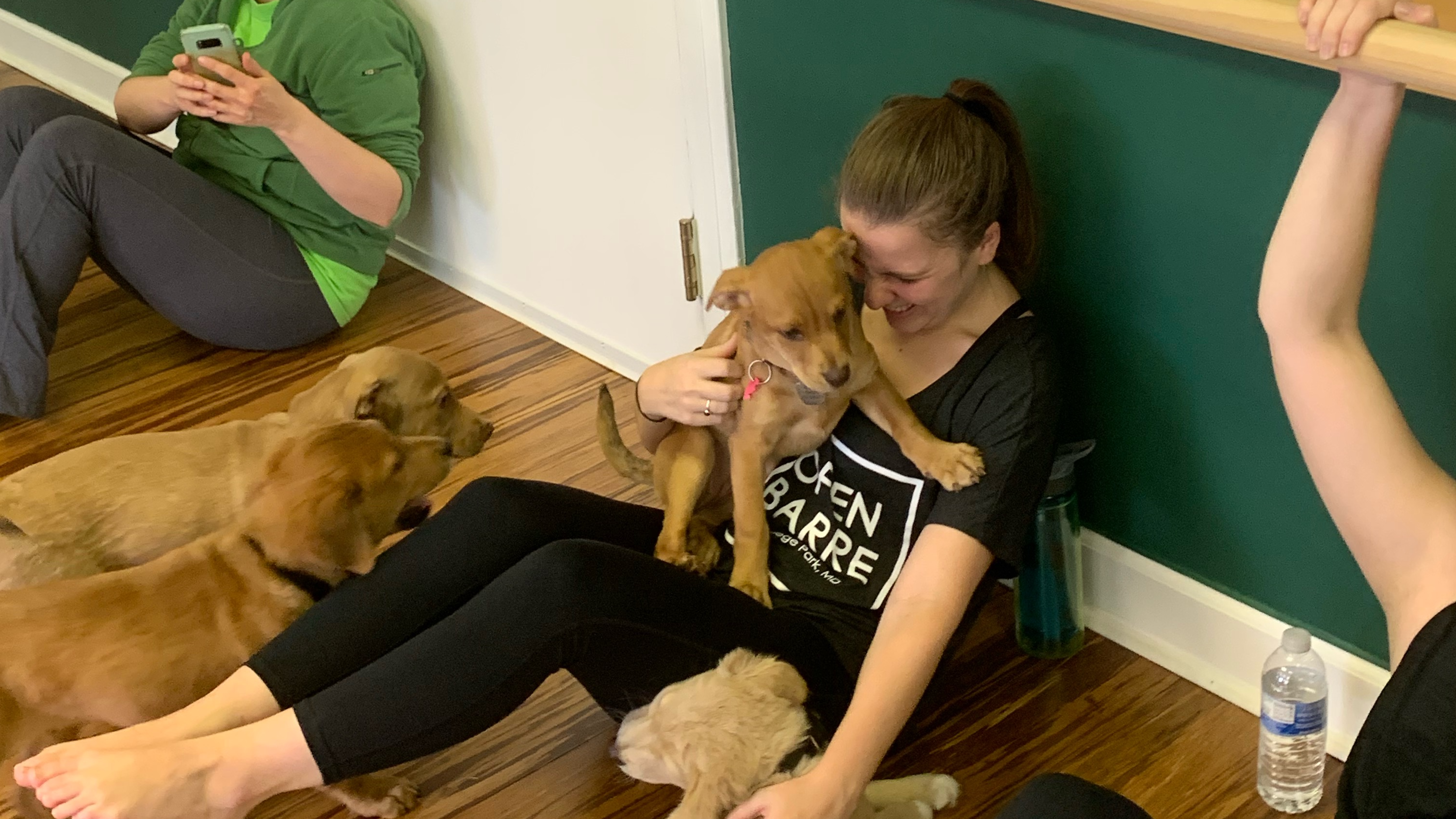 Stretch with Lauren Arms & Abs January