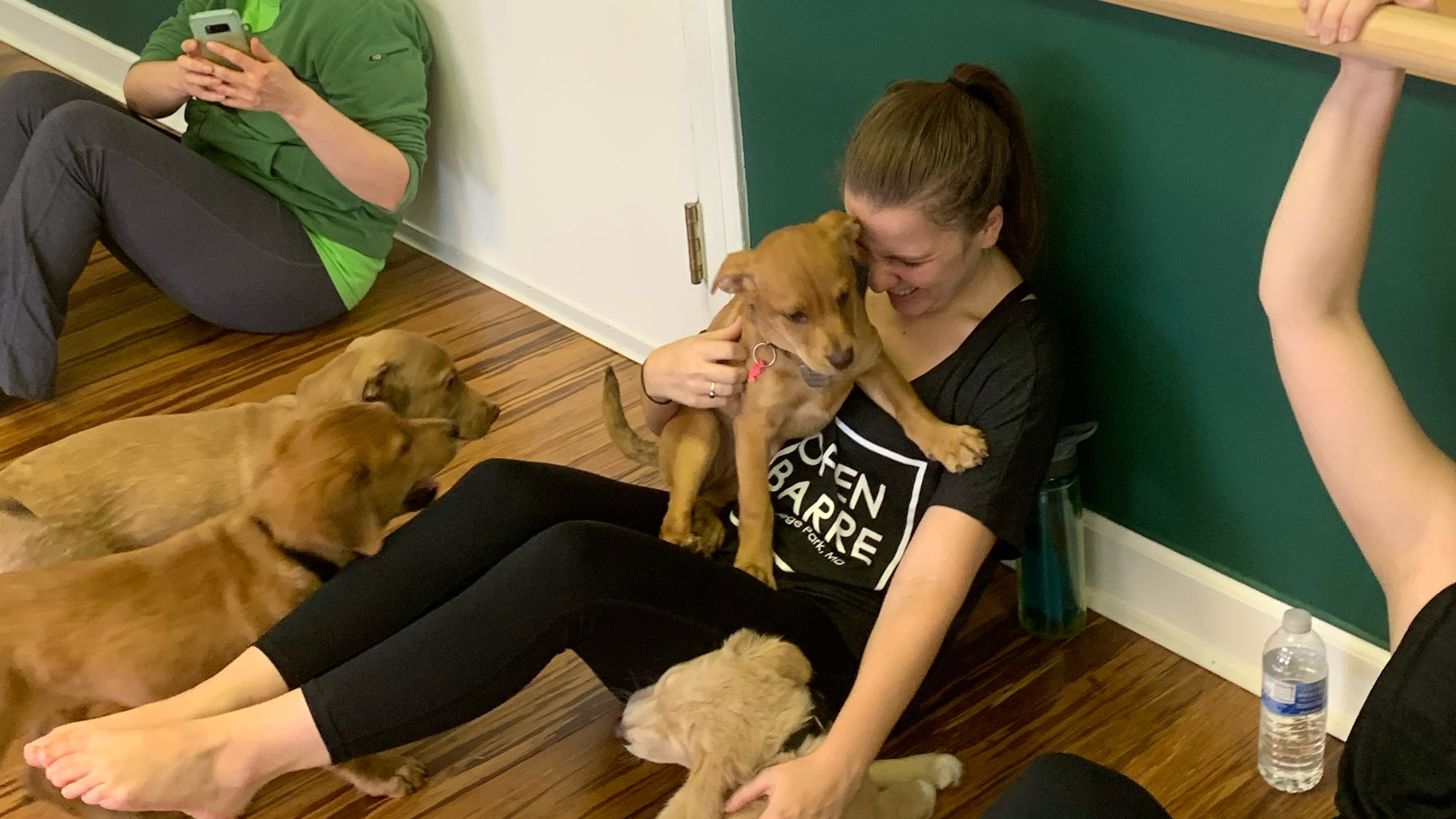 Bonus Animals with Lauren Arms & Abs