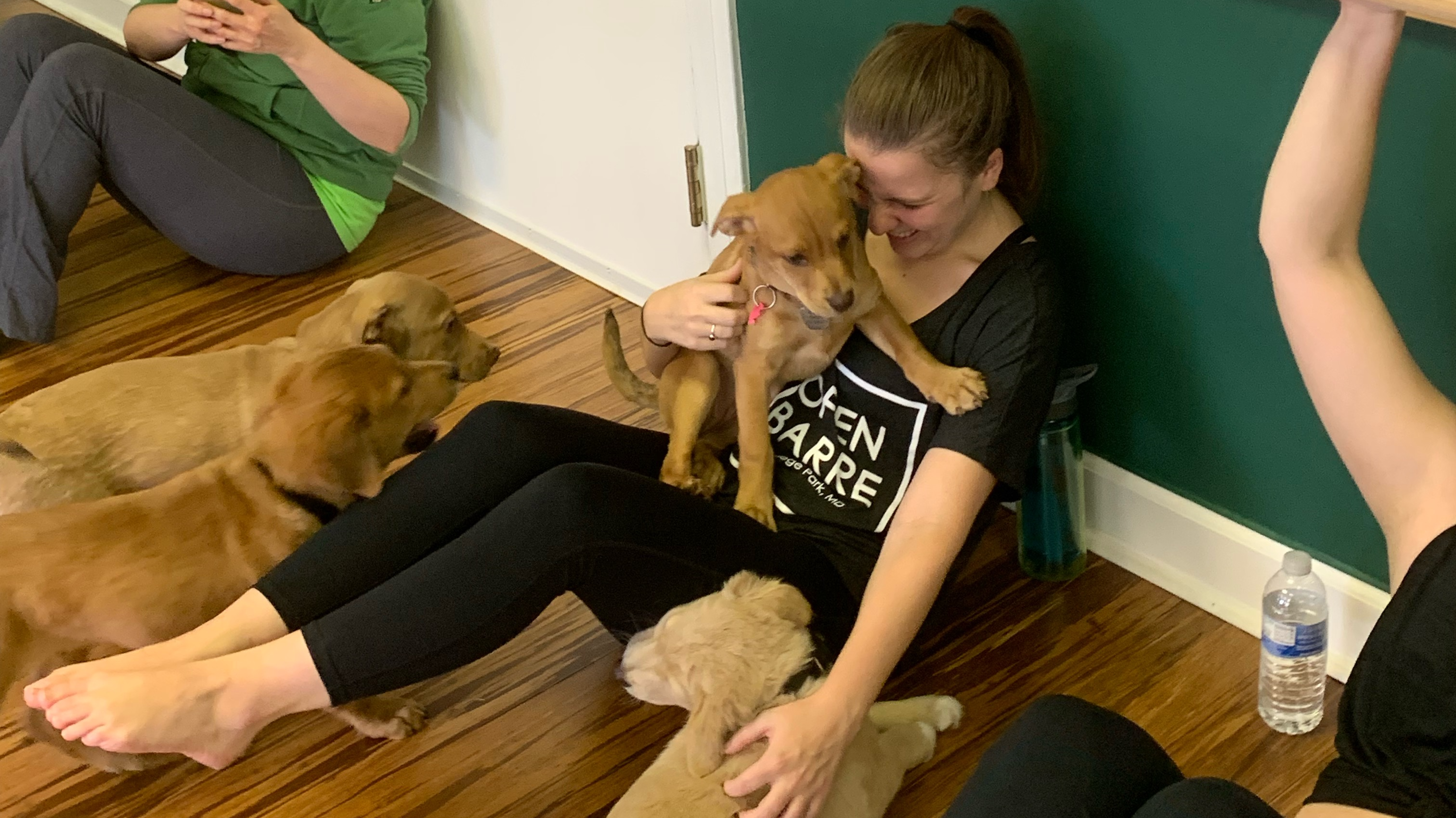 Arms with Lauren Arms & Abs January