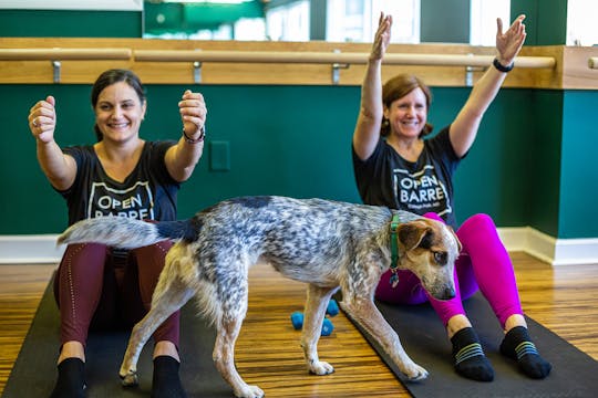 Arms with Lauren + Meredith