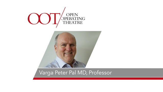 Varga Peter Pal MD, Professor