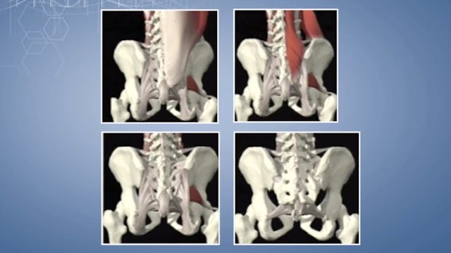 Masterclass 5.6 Sacrum tumor resection