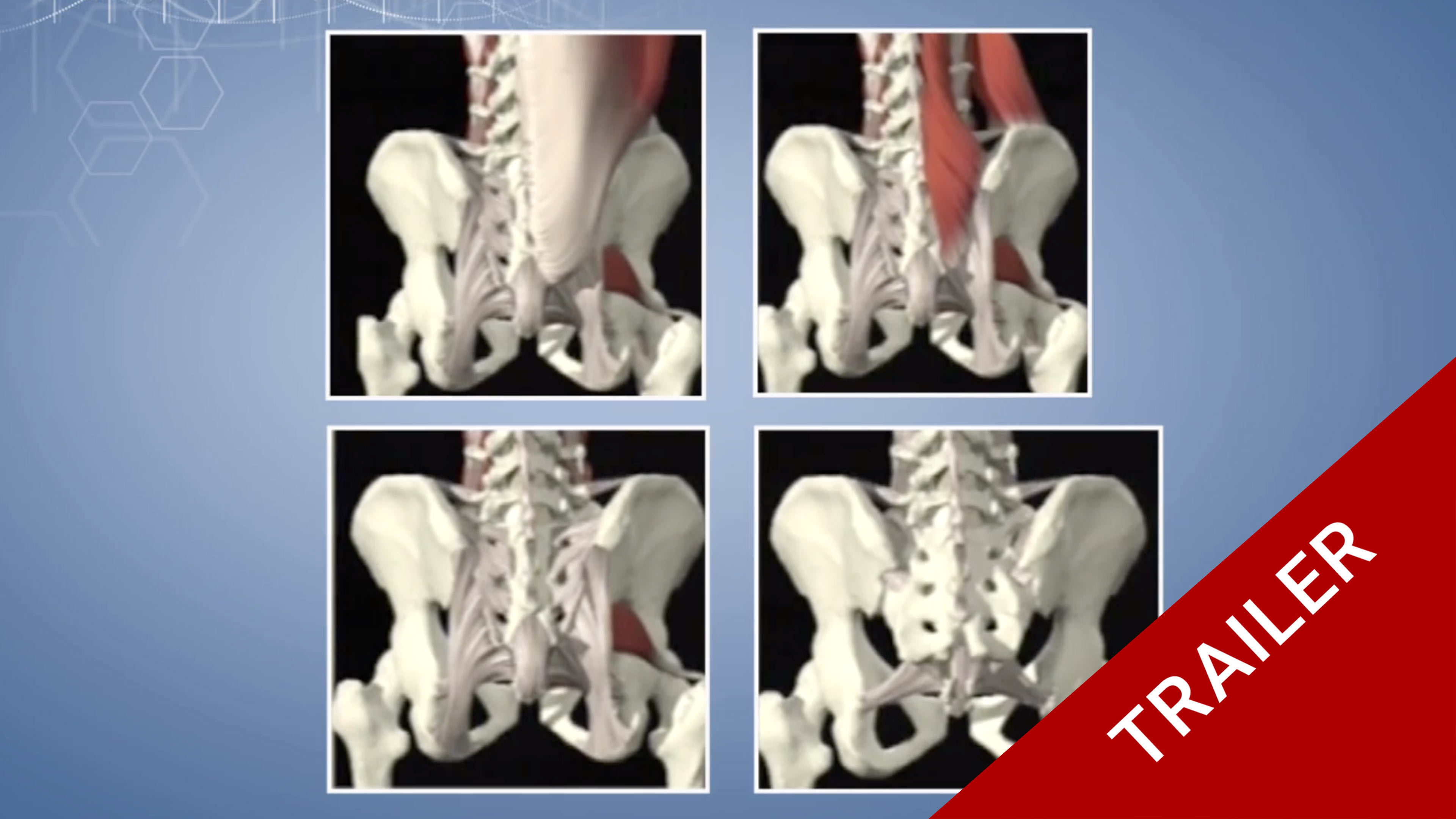 Trailer Masterclass 5.6 Sacrum tumor resection