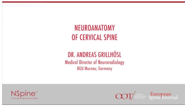 Neuroanatomy of cervical spine