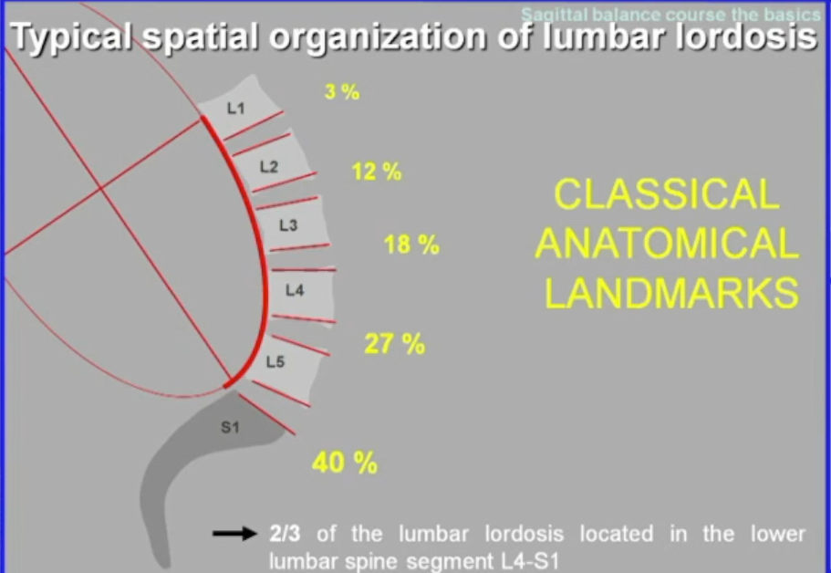 Sagittal Balance Course, Modules 1-5
