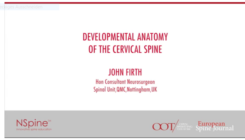 Developmental anatomy of the cervical spine