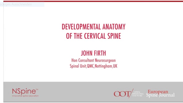 Developmental anatomy of the cervical spine
