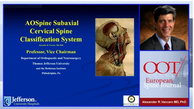 AOSpine subaxial cervical spine classification system