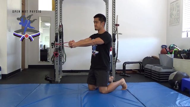 Tall Kneeling Pallof Press