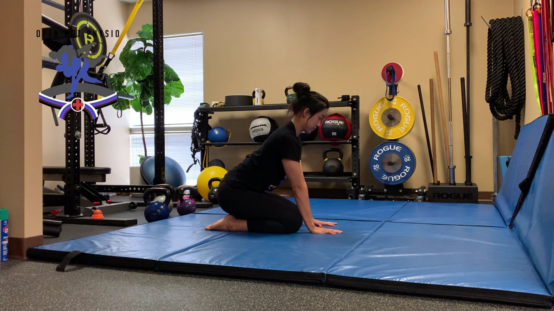 Cat Camel (Thoracic Focus)