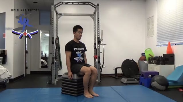 Single Leg Sit To Stand