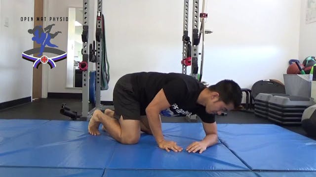 Plank Rolls