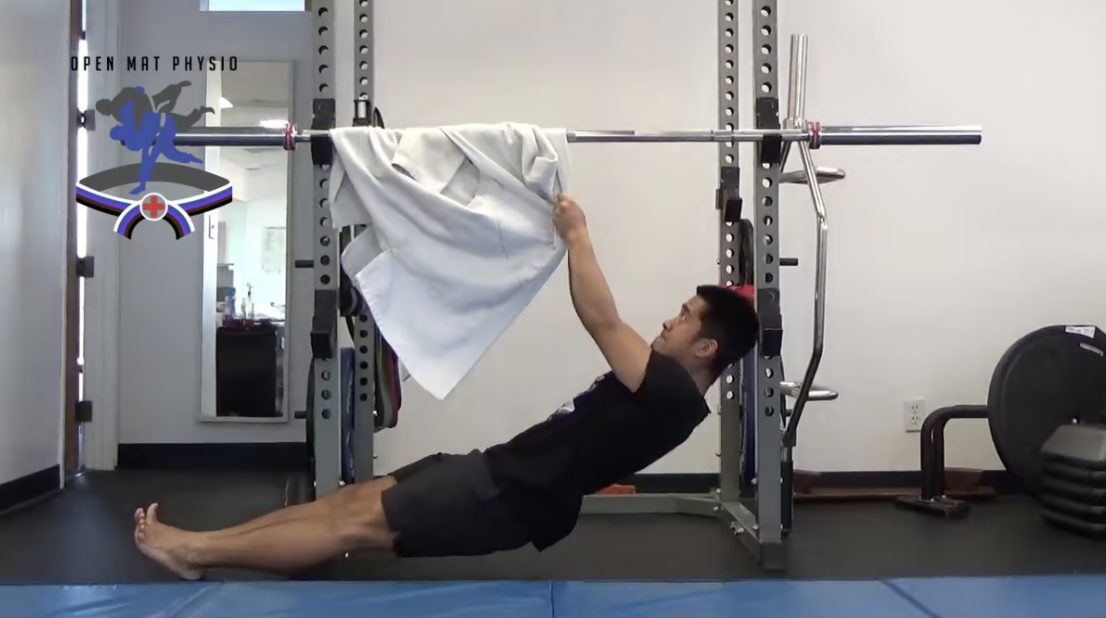Gi Inverted Row