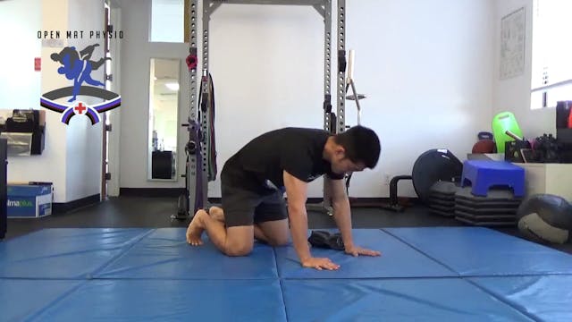 Plank Pull Through