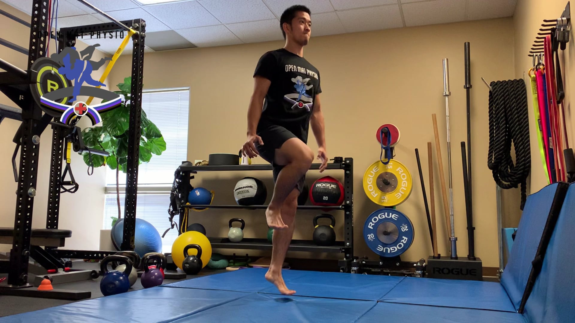 Single Leg Pogos (Vertical)
