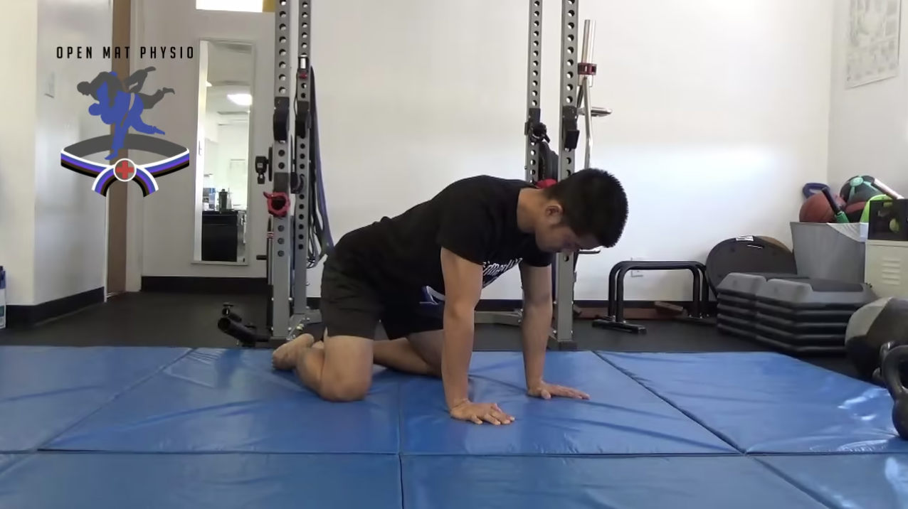 Quadruped Thoracic Rotation (2 Variations)