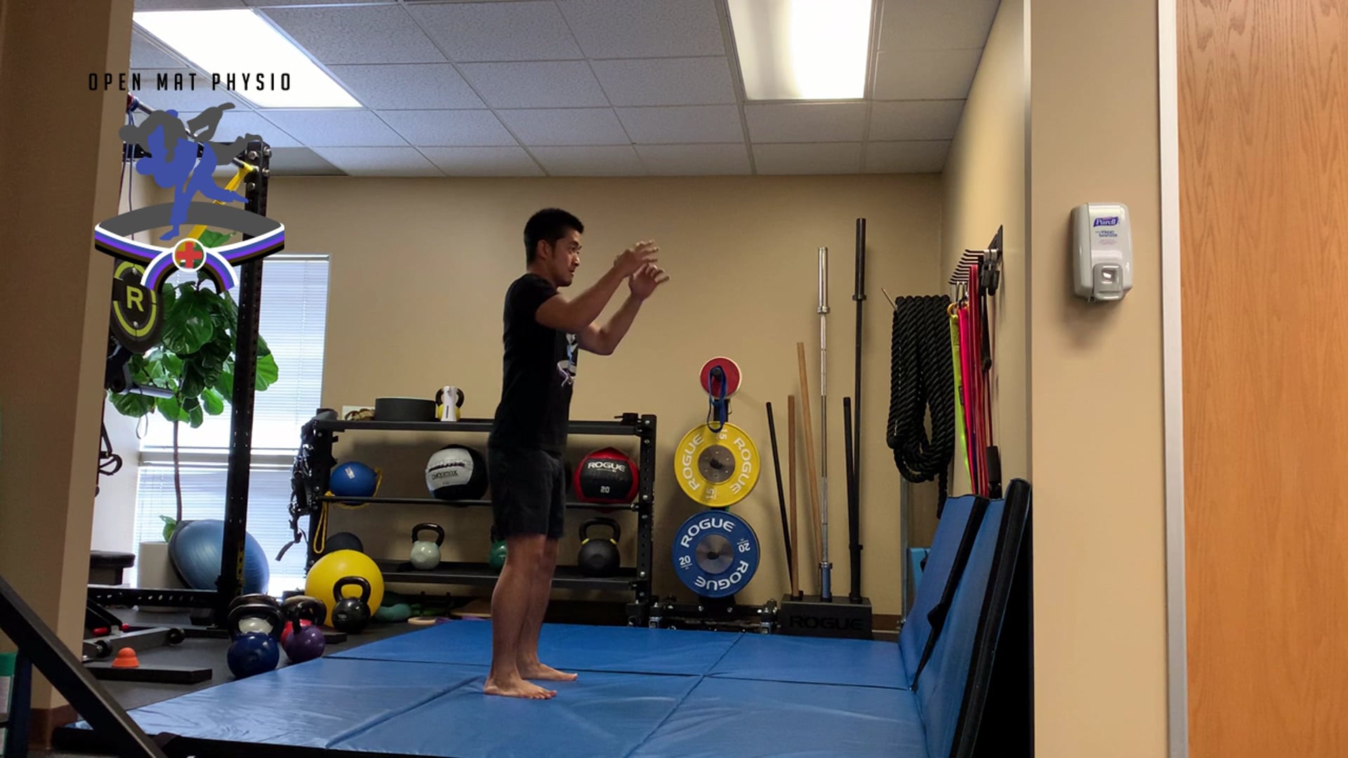 Linear-Vertical Countermovement Jump