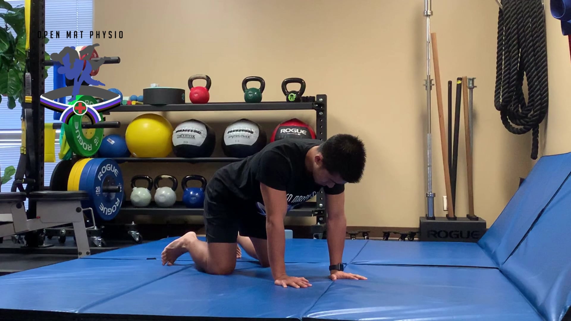 1 Arm Scapular Press