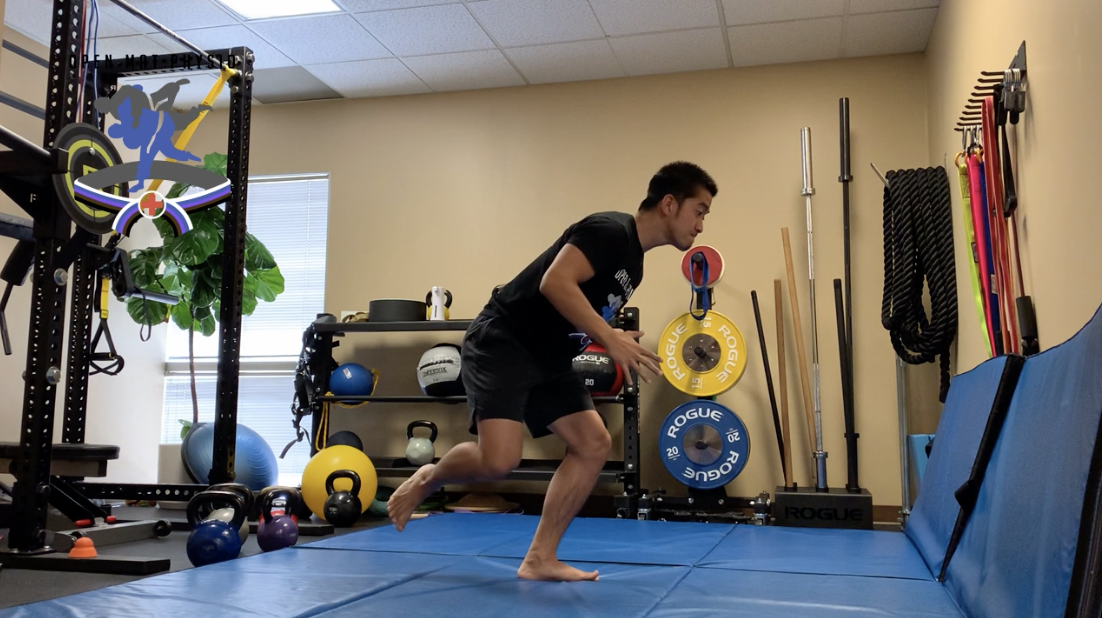 Single Leg Drop Squat