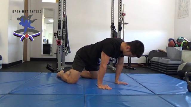 Quadruped Rock Back