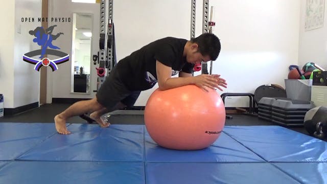 Stability Ball Stir The Pot
