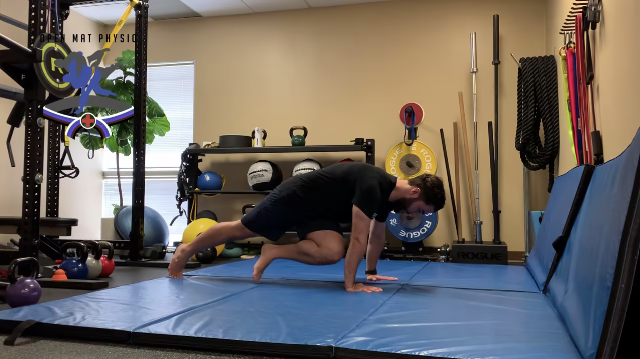 Scorpion Kick