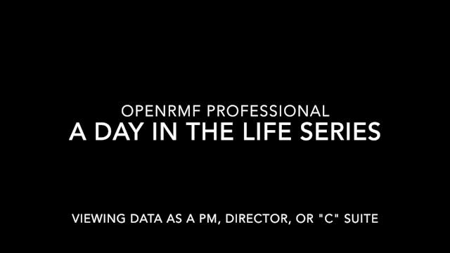 A Day in the Life Series #5 - Managers, Directors, "C" Suite Users