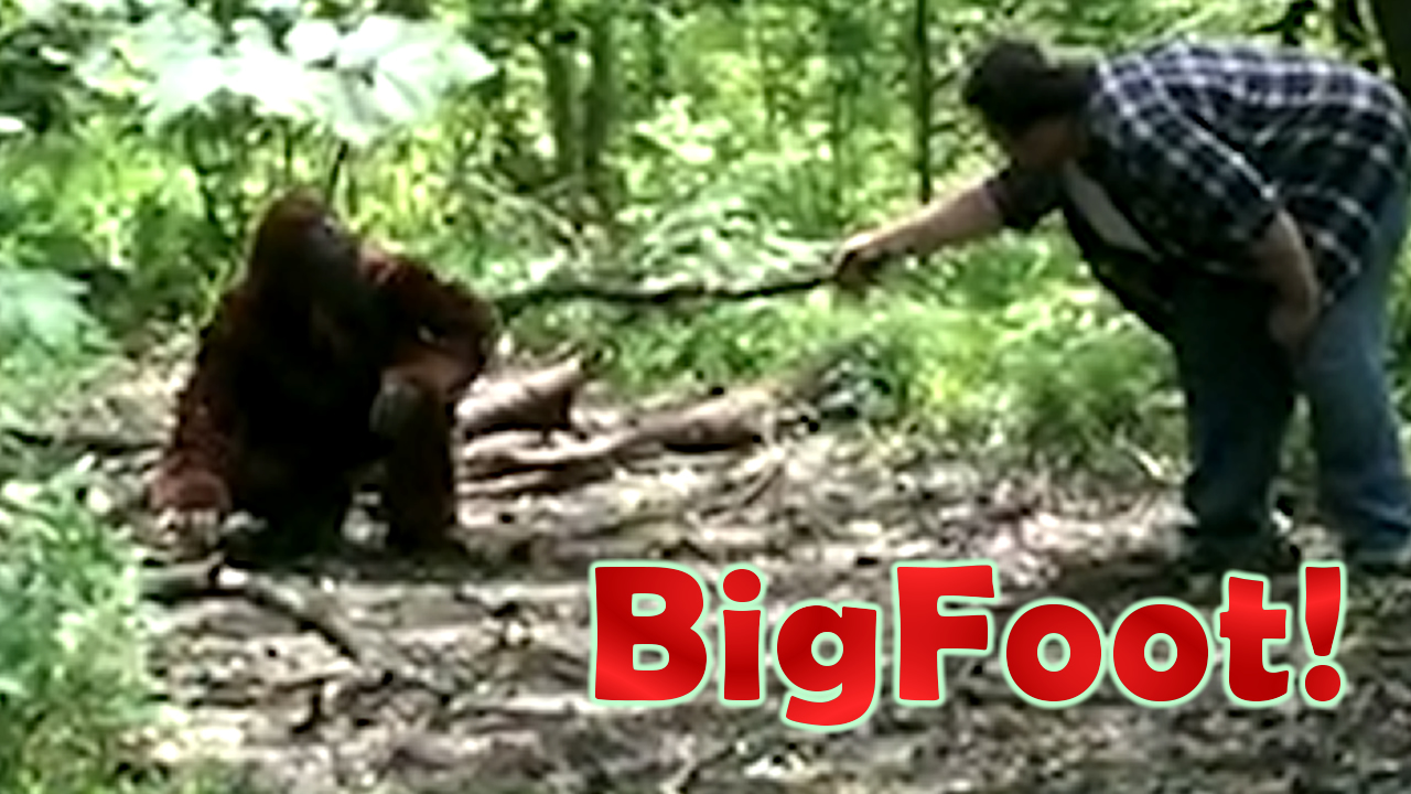 BIG FOOT