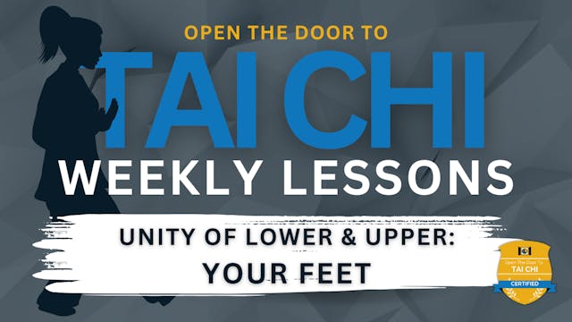The 7th Essential: Your Feet 