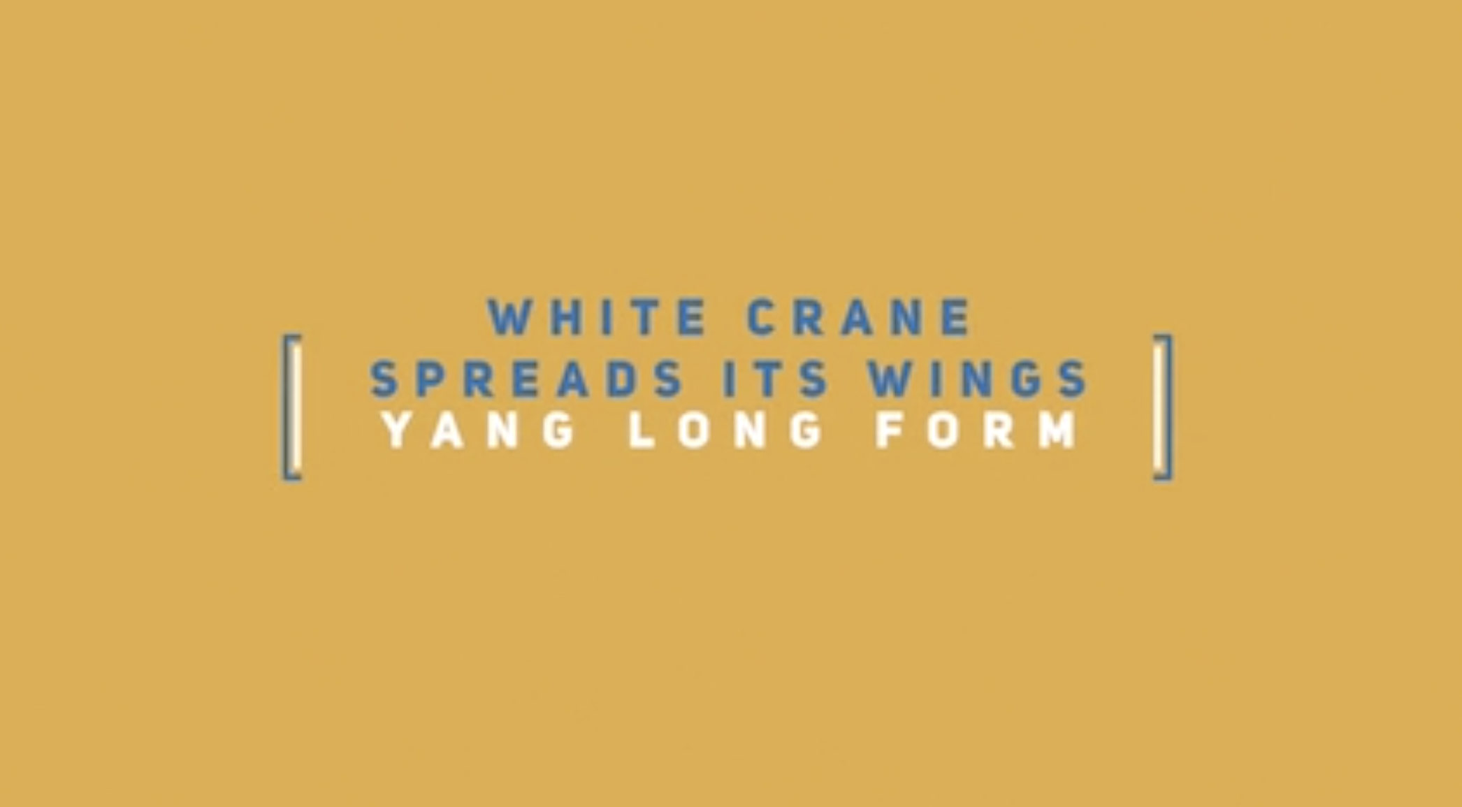 Yang Long Form: White Crane Spreads its Wings