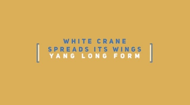 Yang Long Form: White Crane Spreads i...