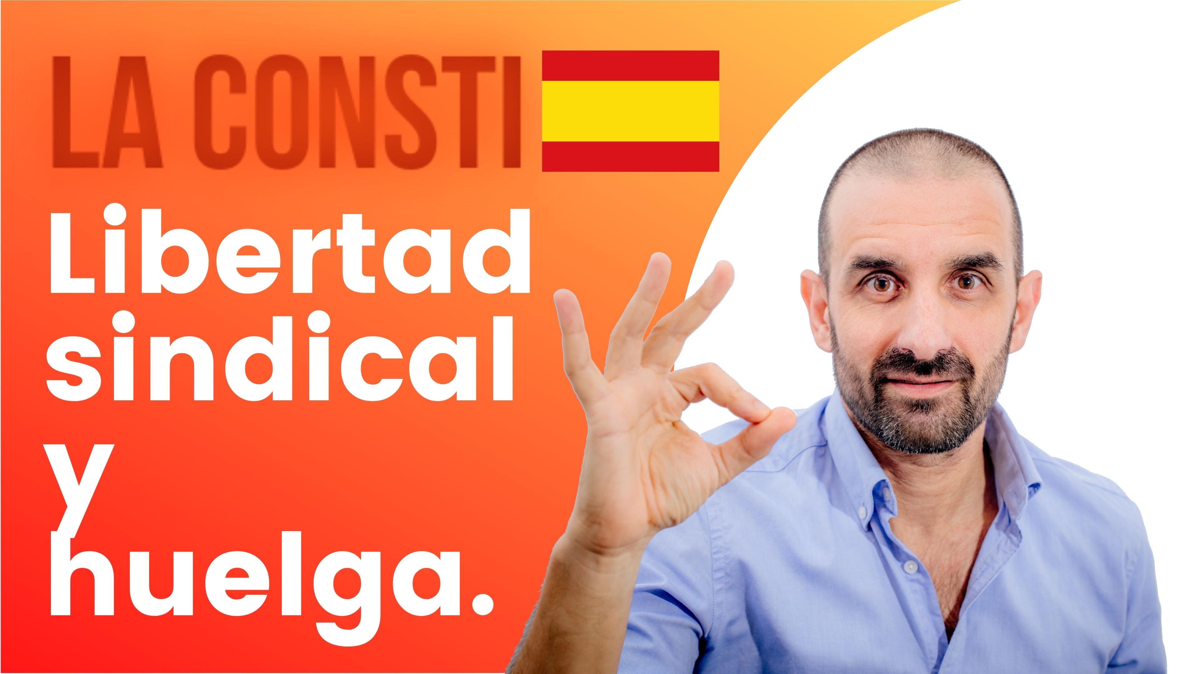 ARTÍCULO 28 - Libertad sindical. Huelga.🇪🇸