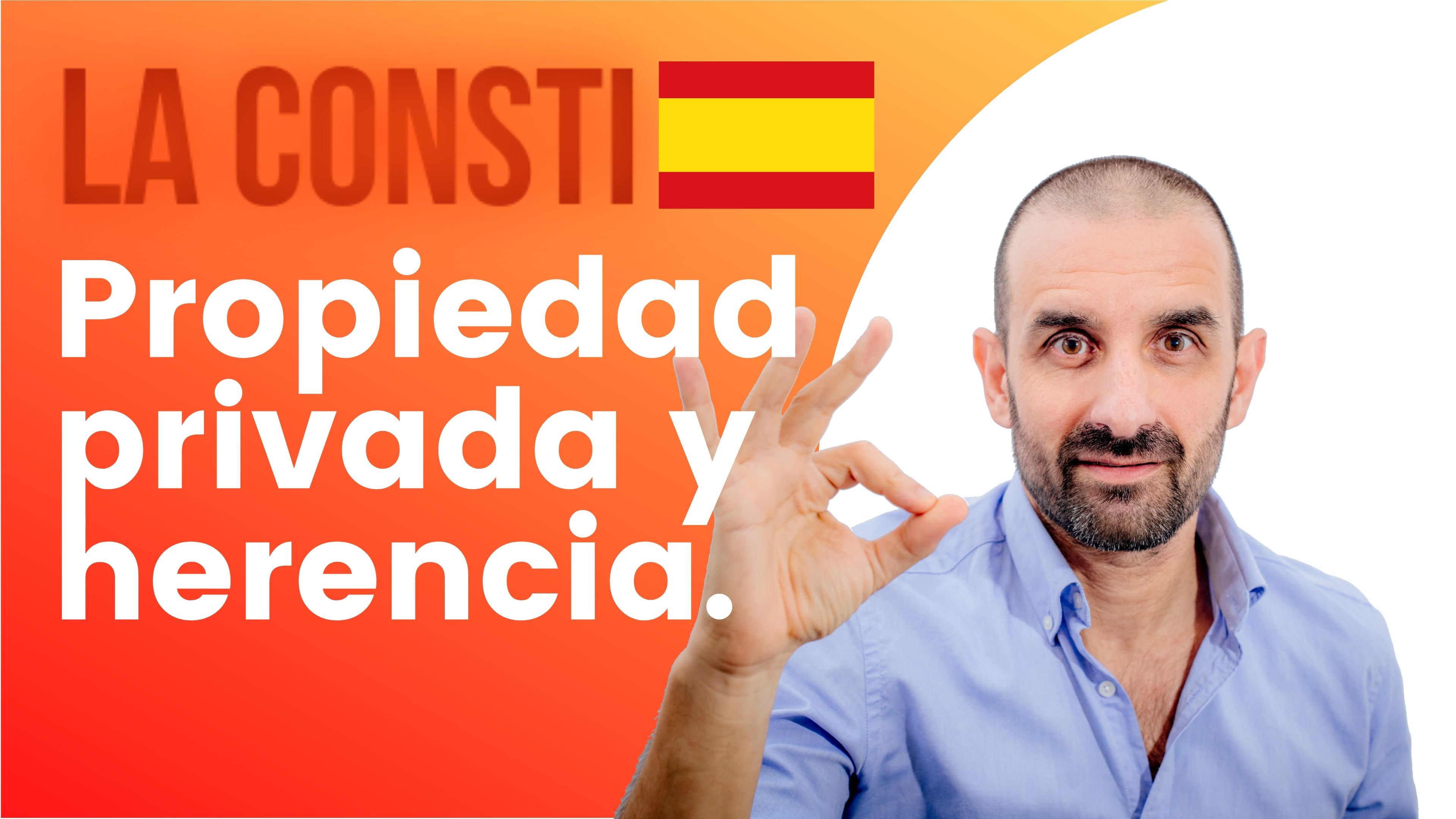 ARTÍCULO 33 - Propiedad privada y herencia. 🇪🇸