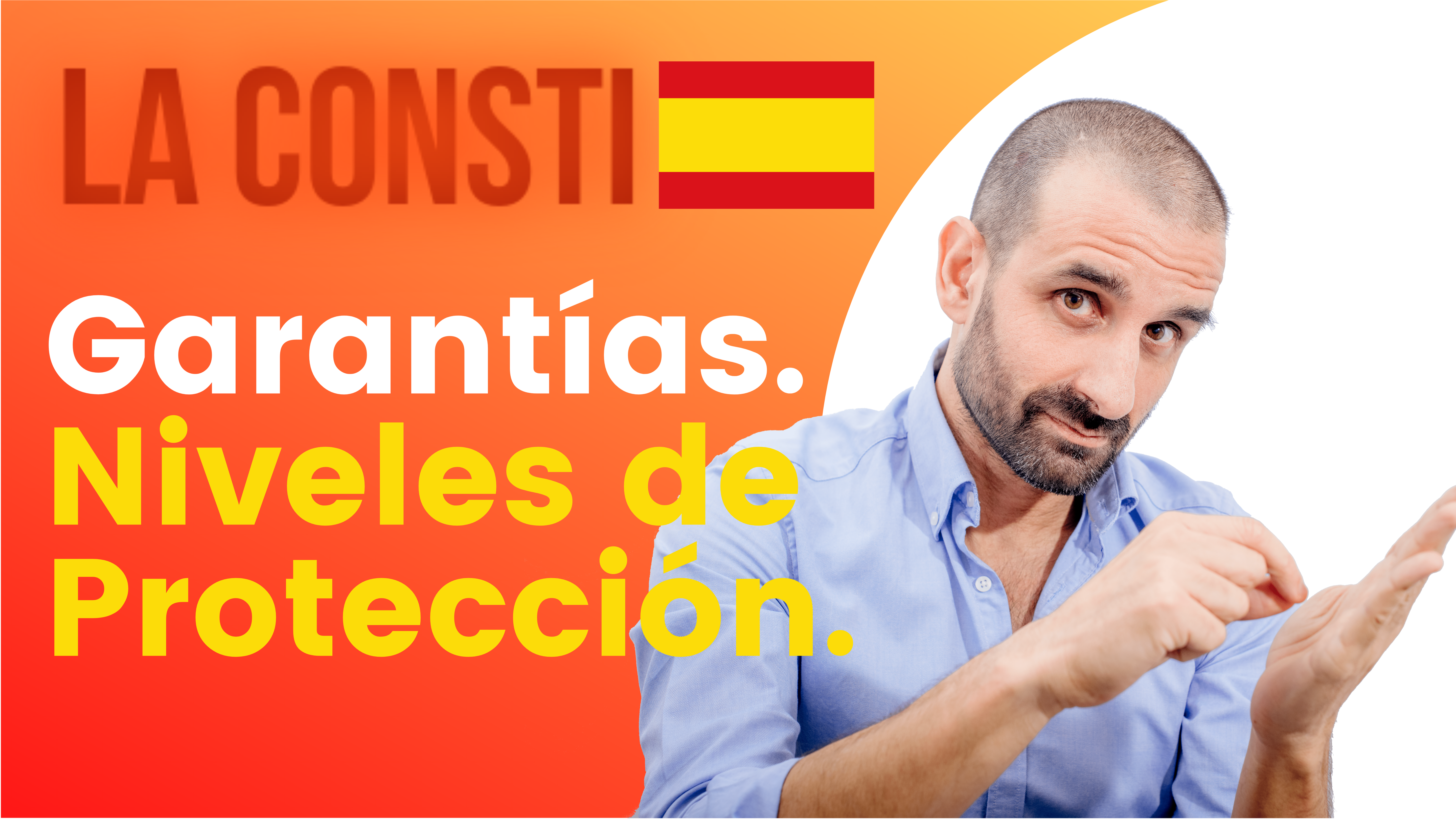 ARTÍCULO 53 - Garantías. Niveles de protección. 🇪🇸