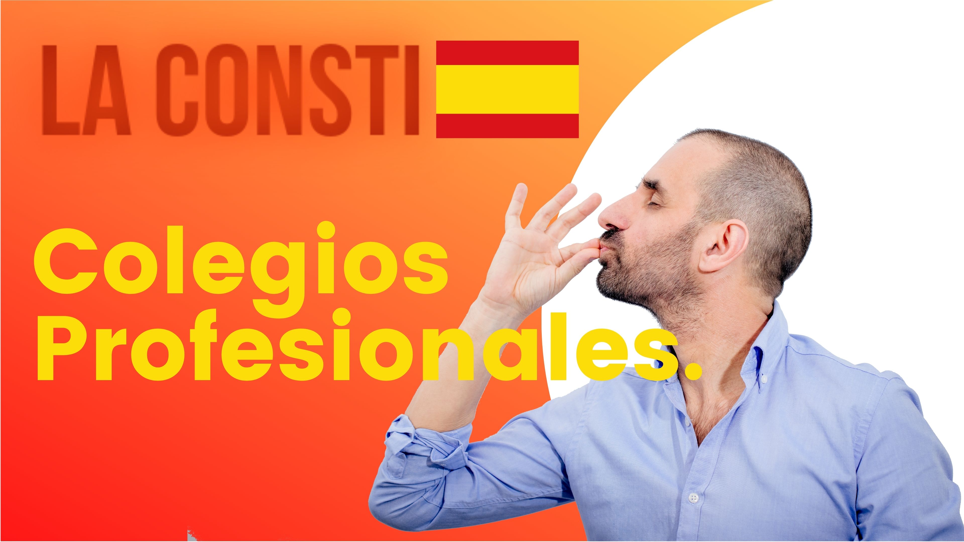 ARTÍCULO 36 - Colegios Profesionales. 🇪🇸