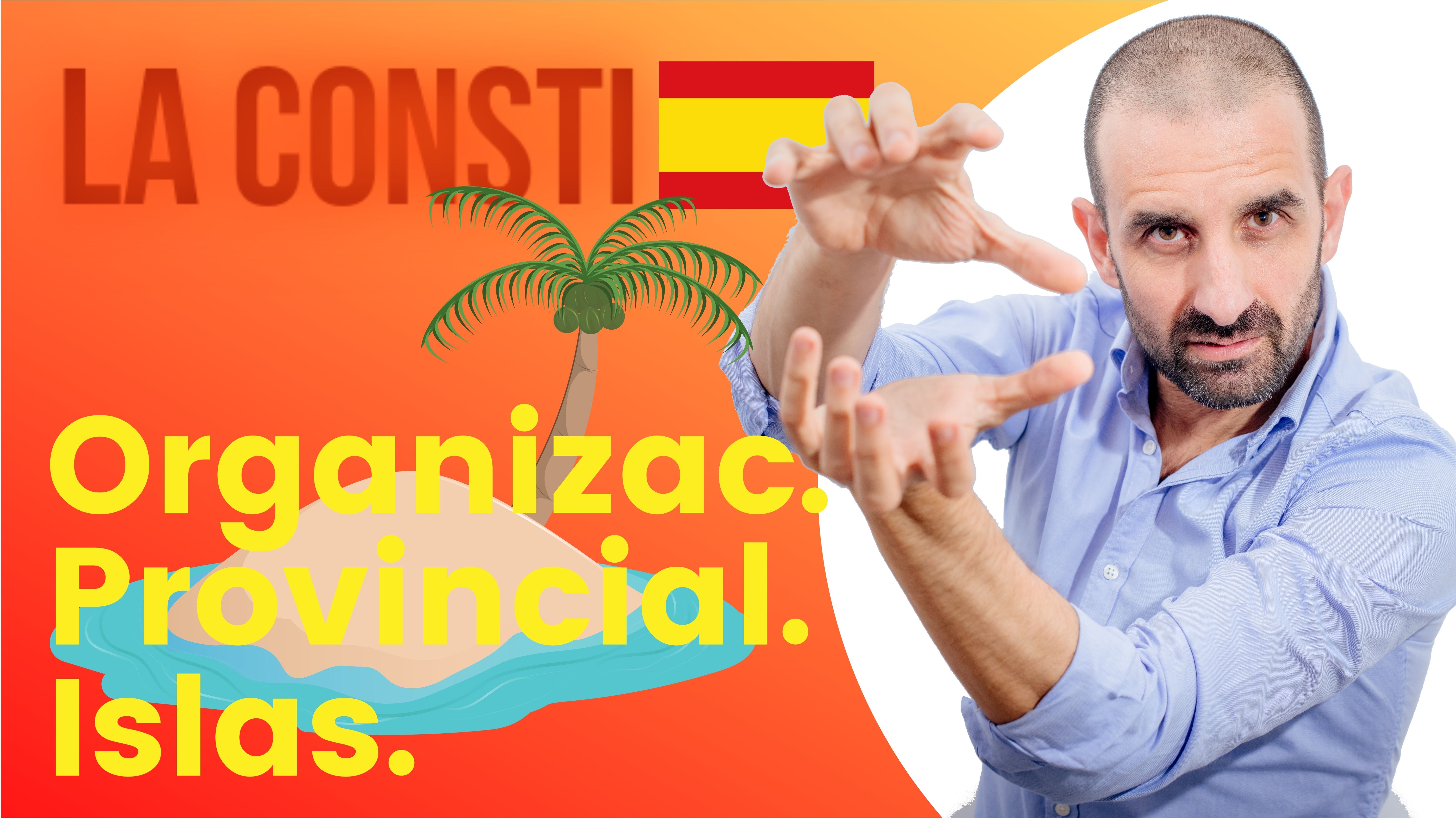 ARTÍCULO 141 - Organización provincial. Islas. 🇪🇸