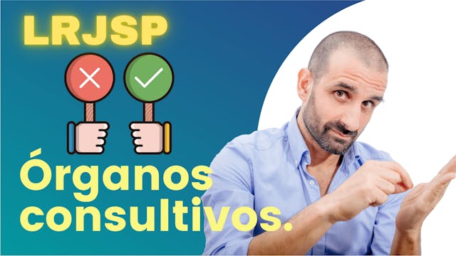 Artículo 7 - Órganos consultivos.