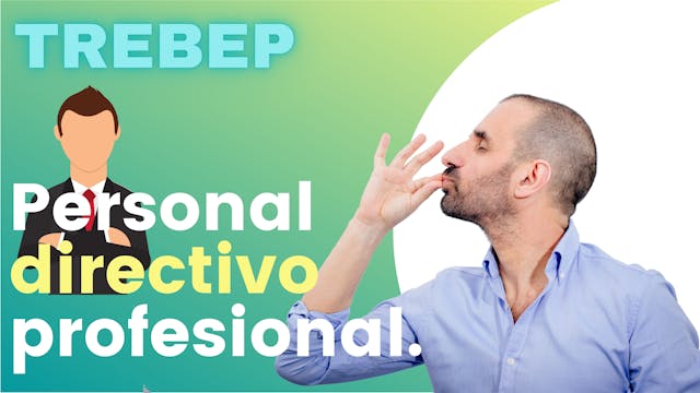 ARTÍCULO 13 - Personal directivo prof...