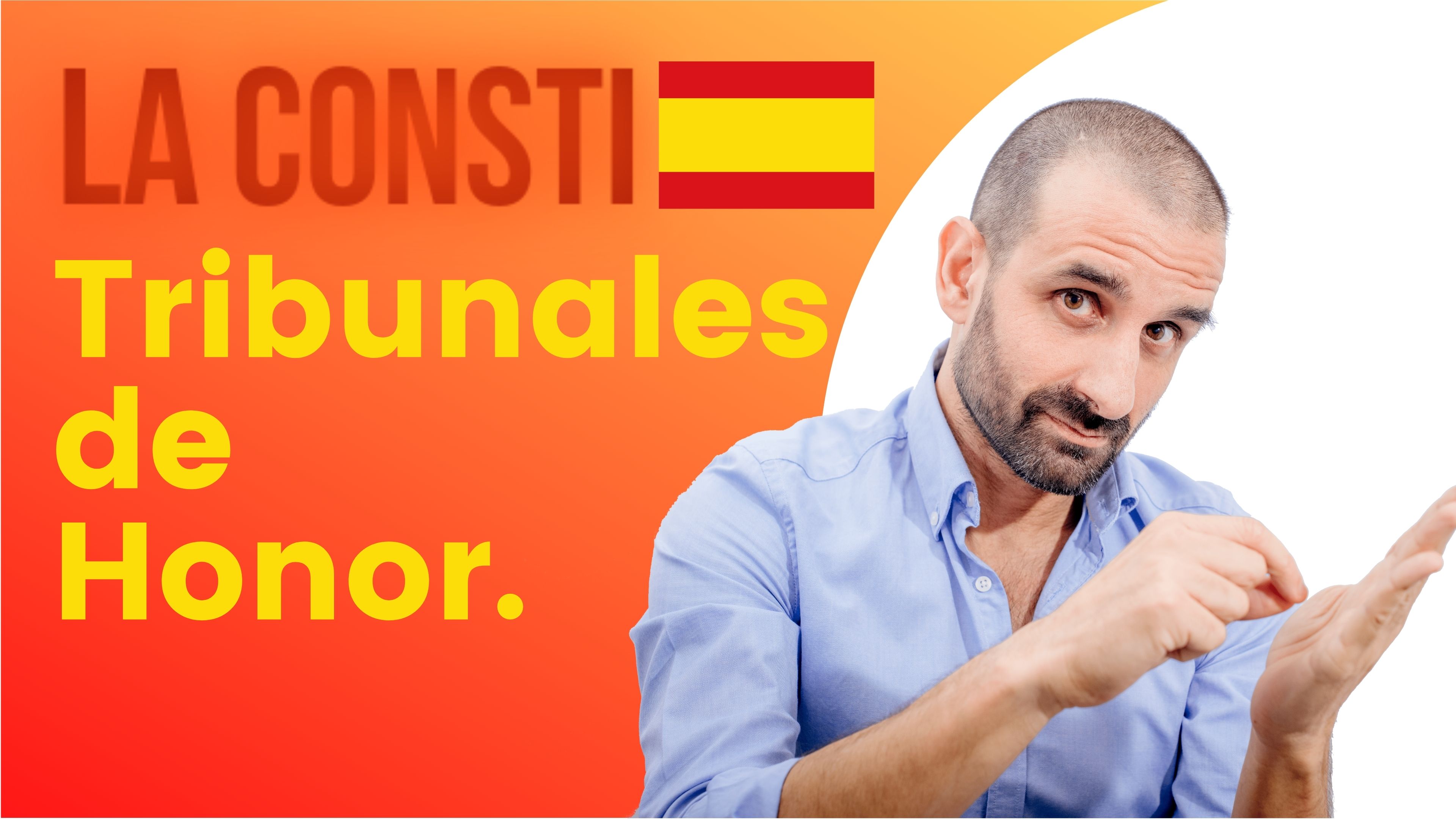 ARTÍCULO 26 - Tribunales de honor. 🇪🇸