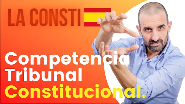 ART脥CULO 161 - Competencia del TC. 馃嚜馃嚫