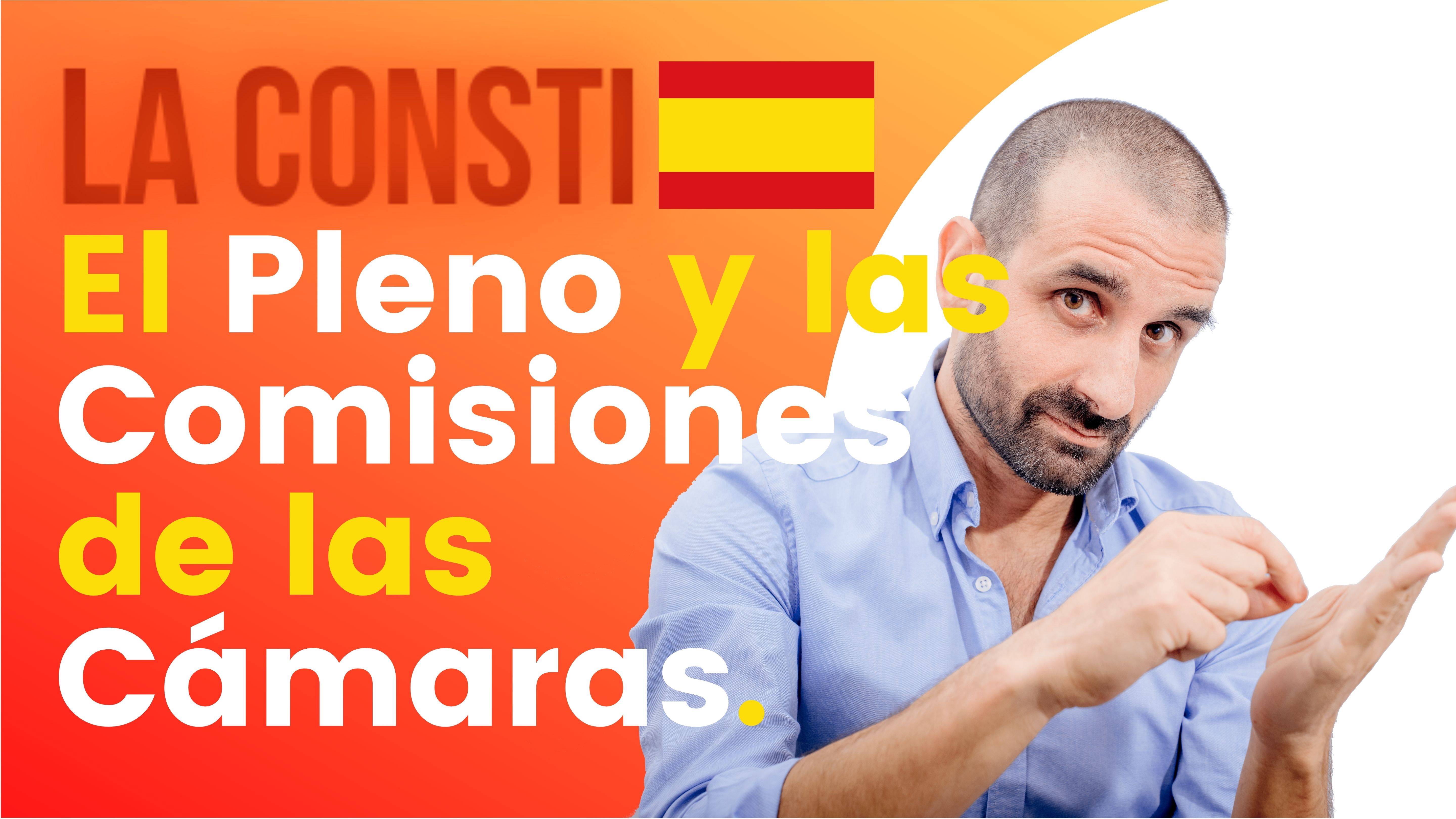 ARTÍCULO 75 - El Pleno y las Comisiones de las Cámaras.  🇪🇸