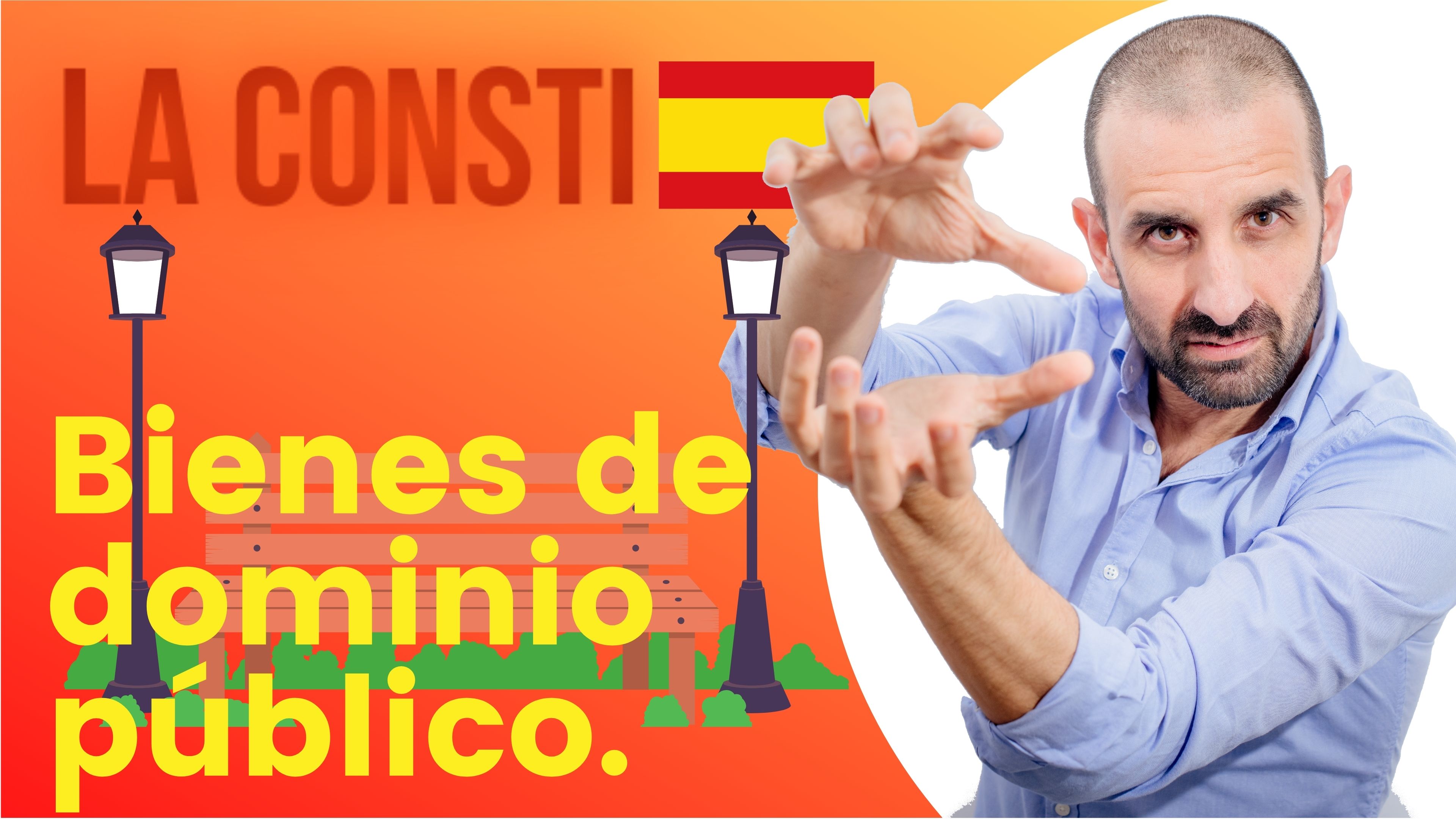 ARTÍCULO 132 - Bienes de dominio público. 🇪🇸