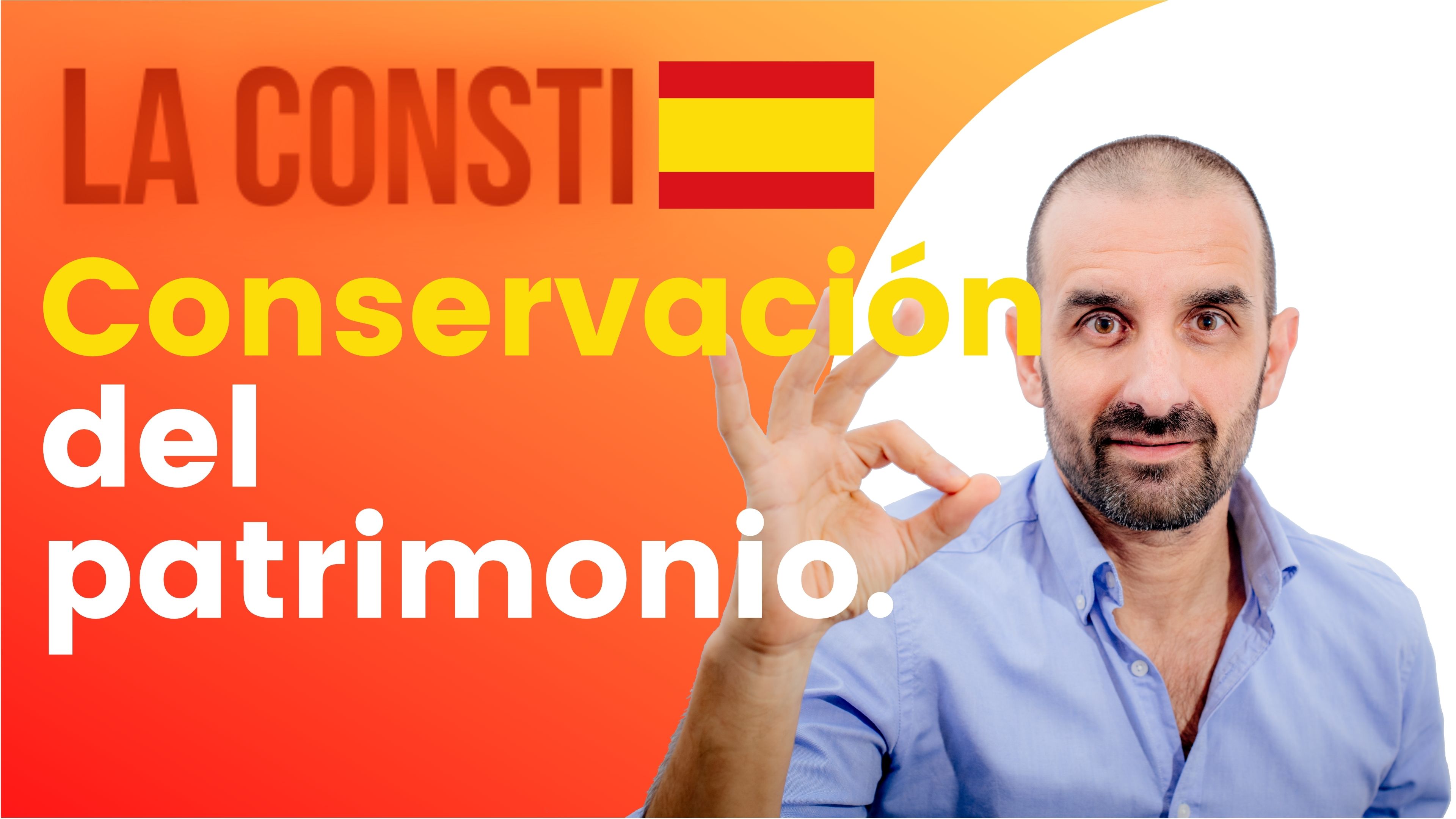 ARTÍCULO 46 - Conservación del patrimonio. 🇪🇸