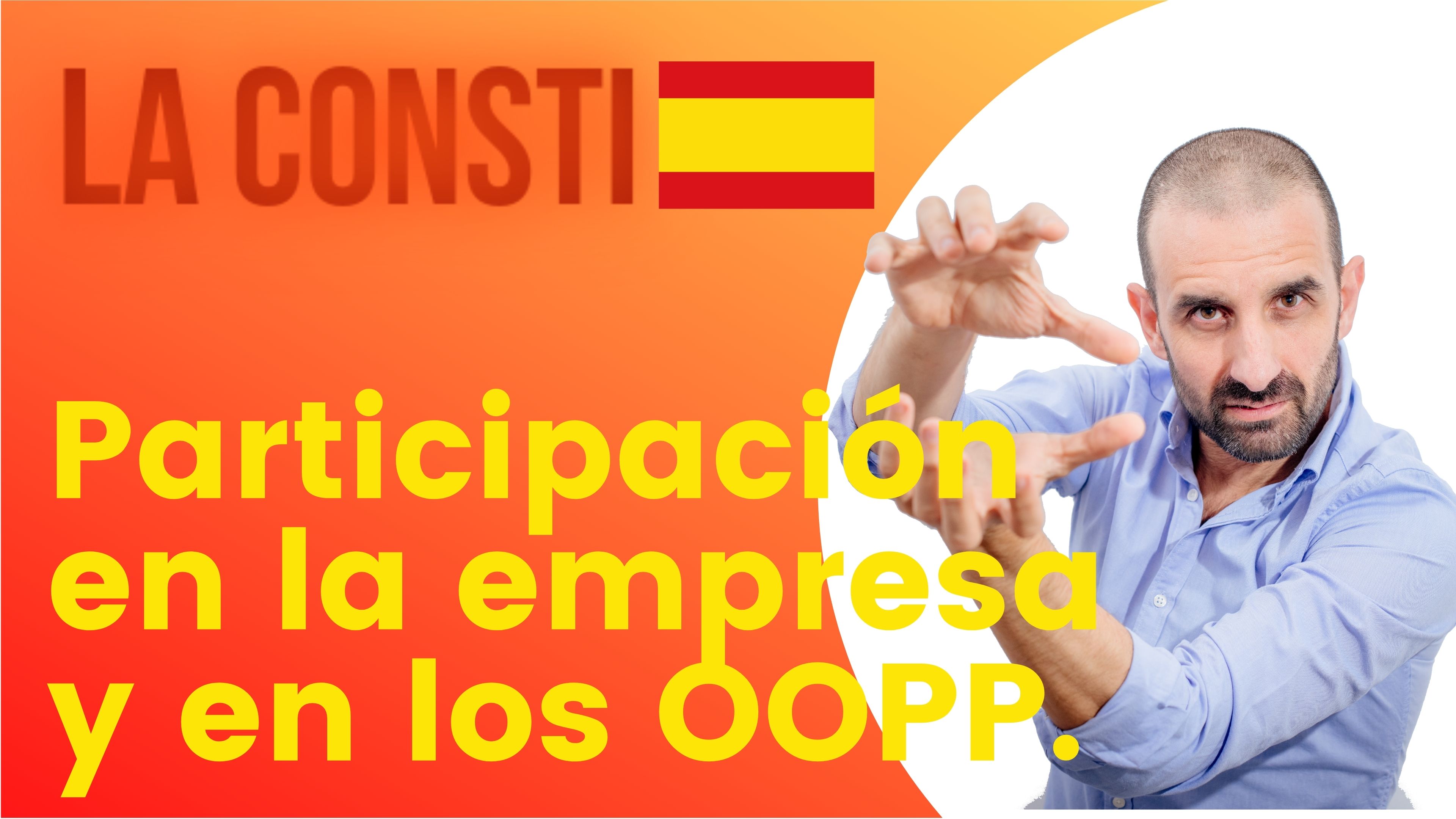 ARTÍCULO 129 - Participación en la empresa y en los OOPP. 🇪🇸