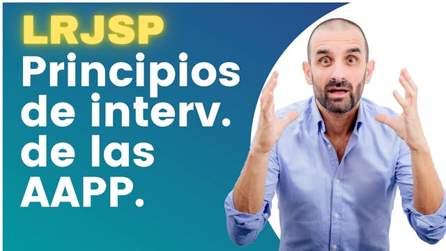 Artículo 4 - Ppios. intervención de l...