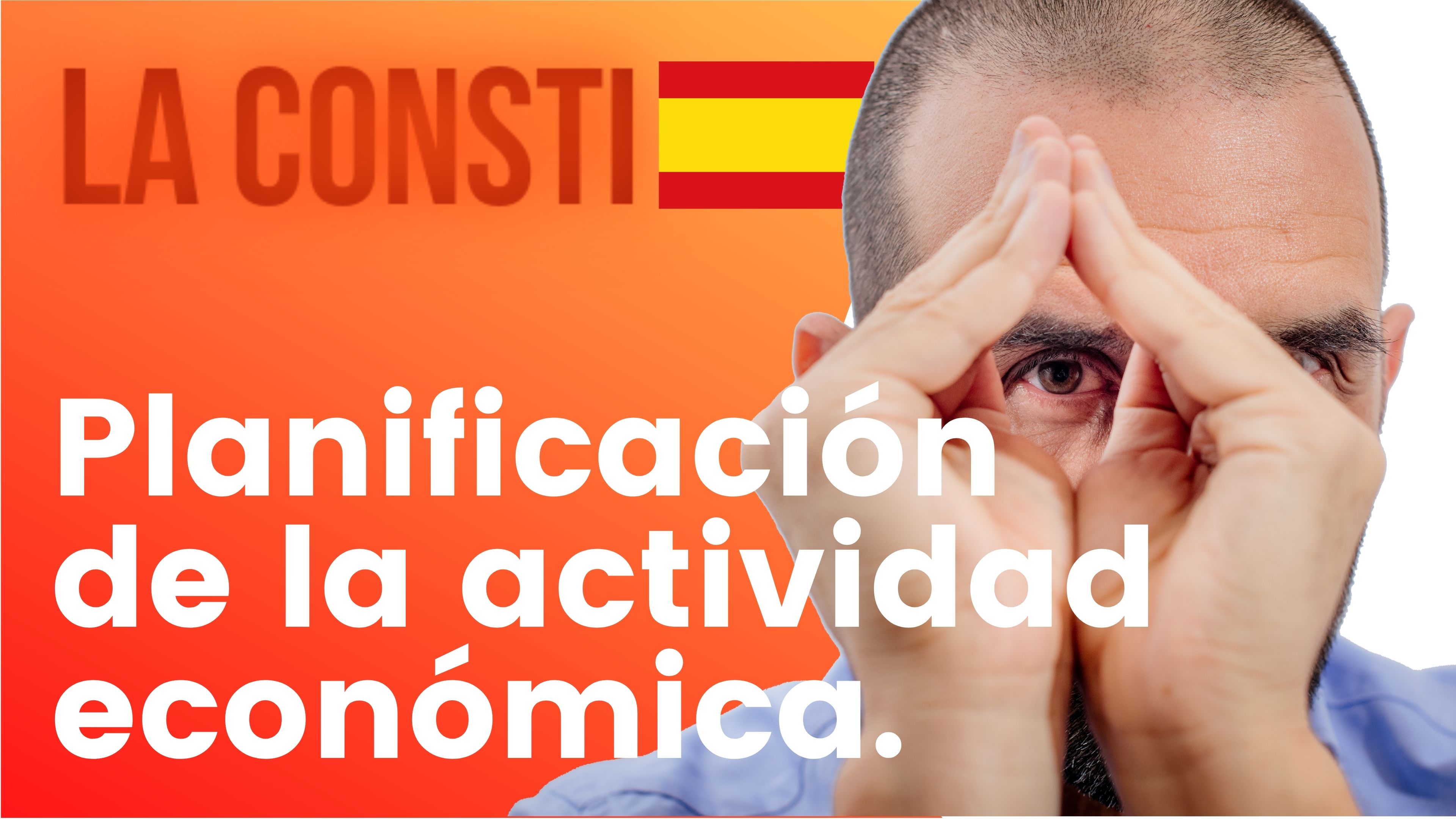 ARTÍCULO 131 - Planificación de la actividad económica. 🇪🇸